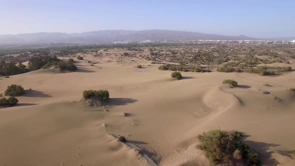 Aerial Landscape with Sand and Plants