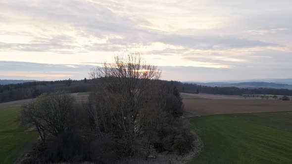 A small patch of mixed trees and bushes within large fields at sunset in Germany. Aerial fly by reve