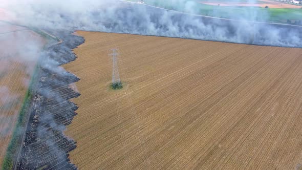 Burning Stubble