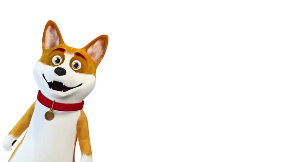 Hi From Cartoon Dog Corgi on White Background