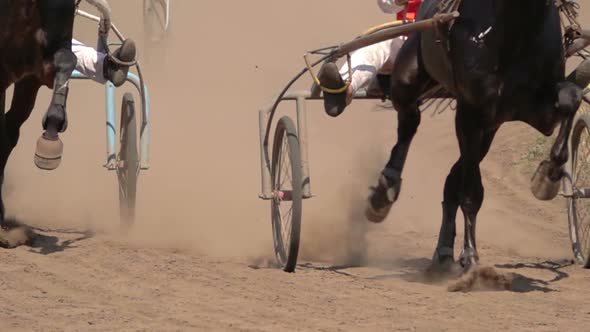 Horse Racing Of The Wagons