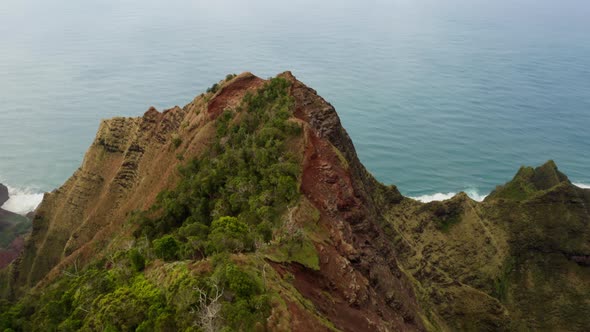 Exotic Rocky Coastline of Hawaiian Island in Front of Calm Ocean, Aerial View