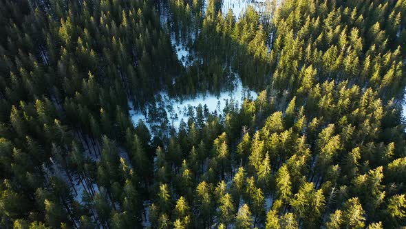 Aerial top-down orbit over snowy mountain forest