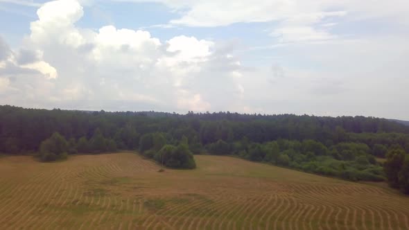 Flight Over Summer Forest in Poland