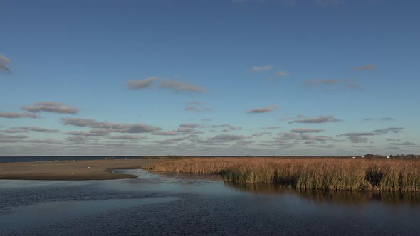 Lake Near The Sea and Reeds