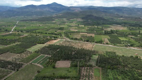 Aerial Farmland Region