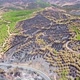 Aerial drone view of burned forest next to the road. Dark land and black trees caused by fire. - VideoHive Item for Sale