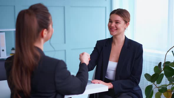 Job Interview  Business Career and Placement Concept