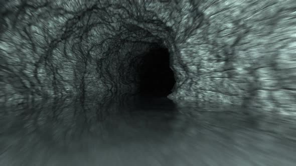 Endless journey inside the never-ending cave scenery. Loopable animation. HD