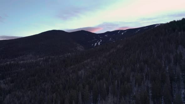 A drone shot over the tree line during sunrise or sunset in New Mexico