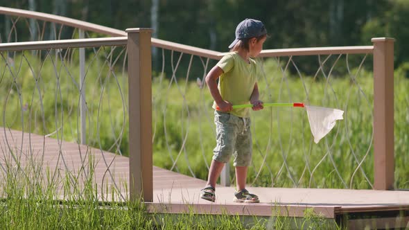 Little Boy Tries to Catch Something From Pond with Butterfly Net