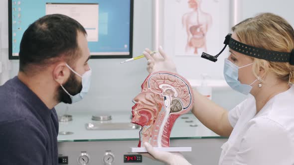 Male Patient at Otolaringologist Doctor Showing a Head and Throat Anatomical Model