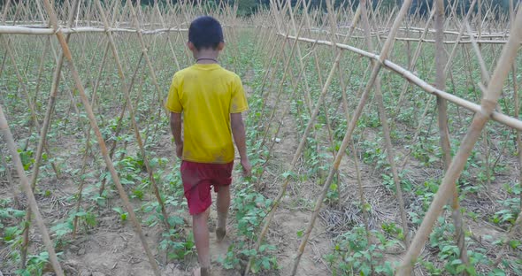 Rural Boy Walking In Garden