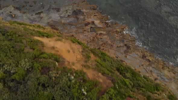 A birds eye view aerial shot of the shrubs on top of a cliff then the rough rocks along the ocean on