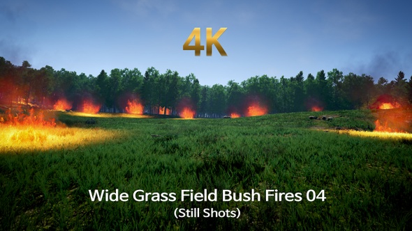 Wide Grass Field Bush Fires 04 (Still Shots)