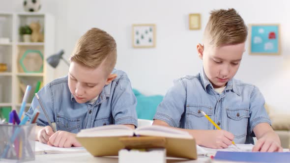Caucasian Twin Brothers Studying at Home alt