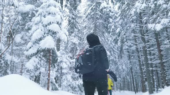 Young Couple Walking in the Park with Pine Trees on Snowy Winter Day