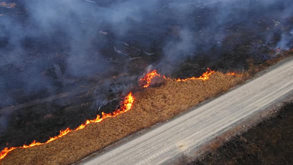 Aerial View of a Burning Dry Field