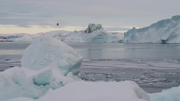 Bird Flying Over Icebergs In Calm Sea