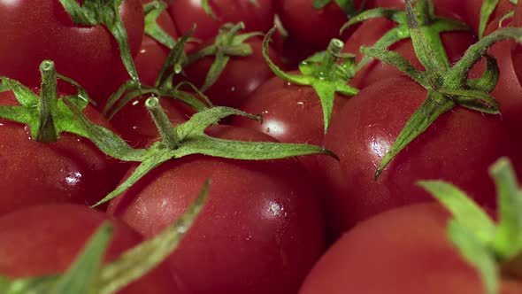 Close Up Pile Of Fresh Tomato On The Market Counter 3 / Videohive