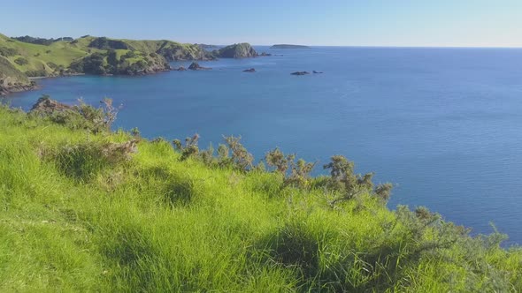 View of the New Zealand shoreline