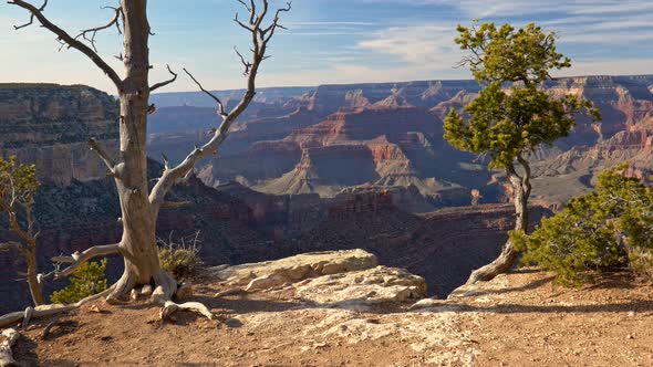 Grand Canyon, USA. Camera Moving Forward Towards the Edge of Cliff, Opening View of Grand Canyon