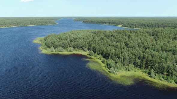 Flight Over the Taiga Forest Lake