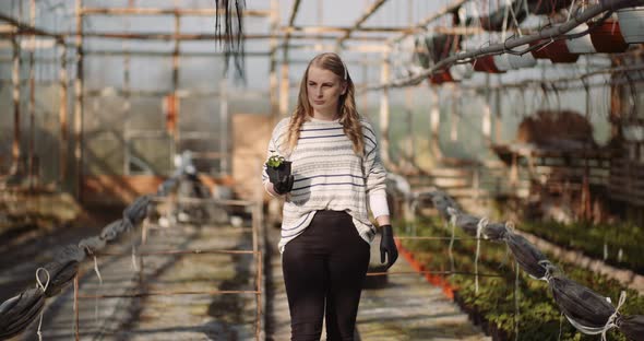 Female Gardener Examining Plants at Greenhouse