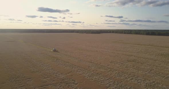 Aerial Panorama Gold Wheat Field with Reaper Against Sky