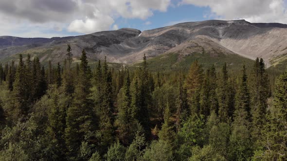 A Top View of High Woodland in Front of the Khibiny Mountains Peaks on Sunny Day