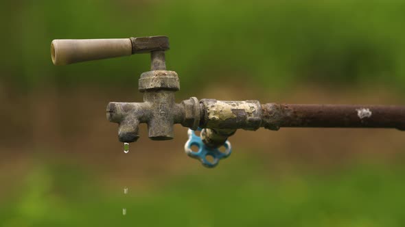 Water Dripping From the Old Tap