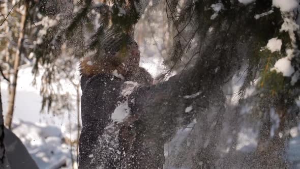 Male Shakes a Snowy Tree Branch on His Head