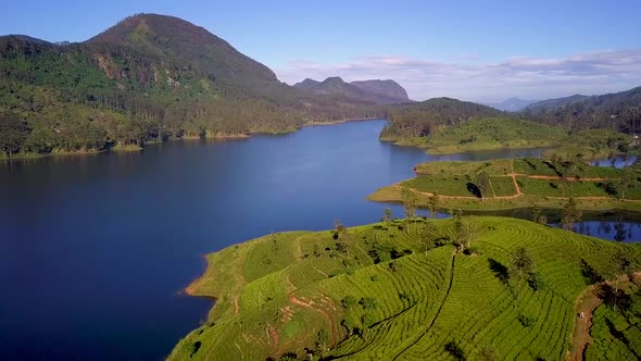 Aerial view of hills with tea plantation and river misty morning Sri Lanka drone 