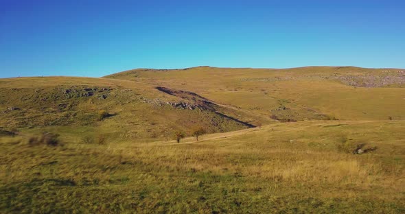 aerial view close to the ground of beautiful green meadow in the middle of nowhere