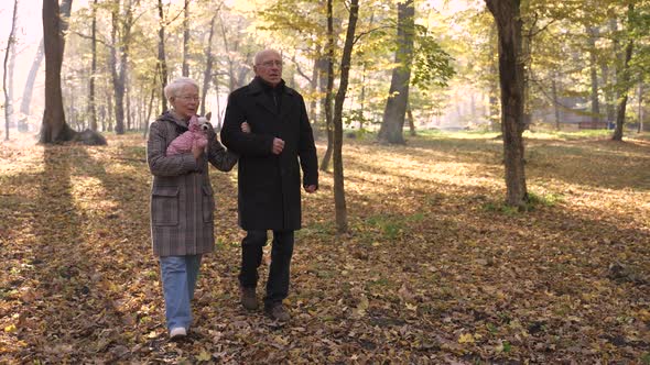 Aged Couple Walking Down Hill Among Fallen Leaves