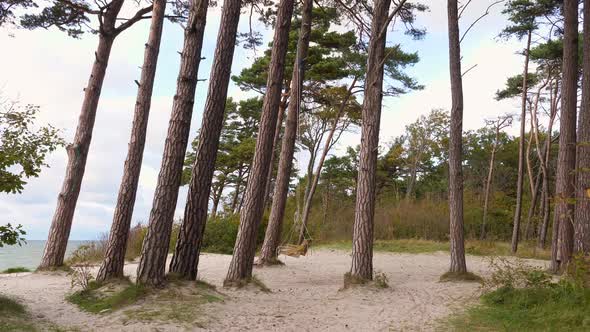 Swings At Seaside