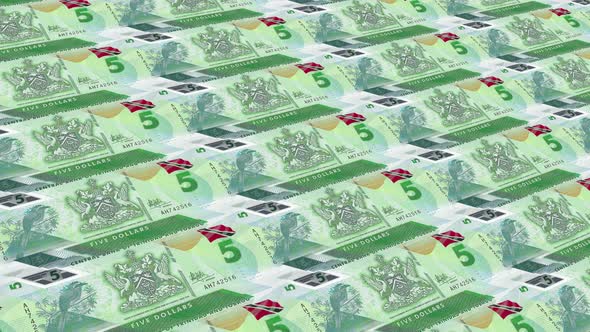 Trinidad And Tobago Money / 5 Dollar 4K