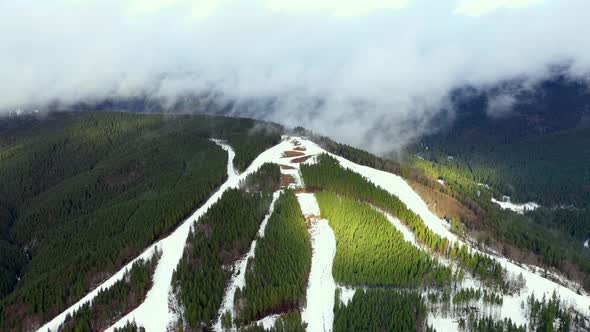 Aerial view, winter snowy forest in mountains