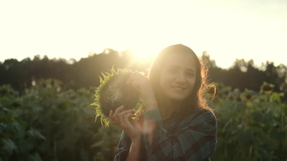Beautiful Happy Girl Woman Closed Her Eyes with Sunflower in a Field at Sunset, Looks Out and Smiles