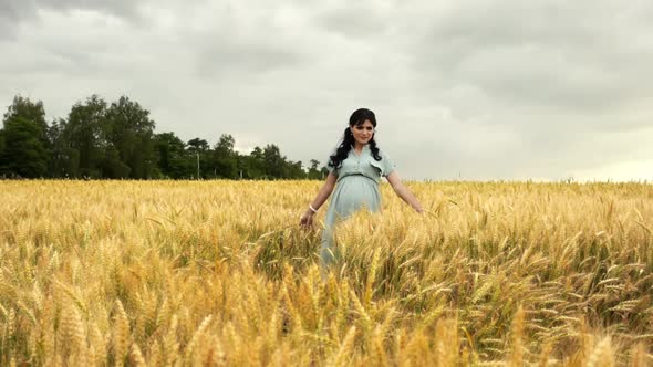 Pregnant Woman Is Walking in Summer Wheat Field in Slow Motion