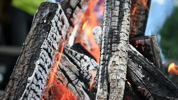 Almost Burned Out Wood Logs in Campfire in Slow Motion