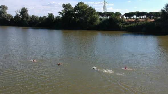 Swimming competition on the river