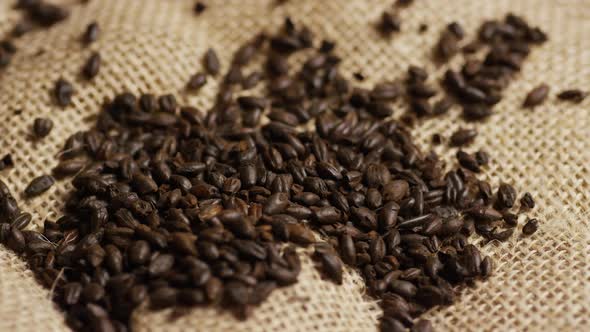 Rotating shot of barley and other beer brewing ingredients - BEER BREWING