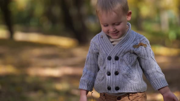 Portrait of Little Boy Playing with Autumn Leaves