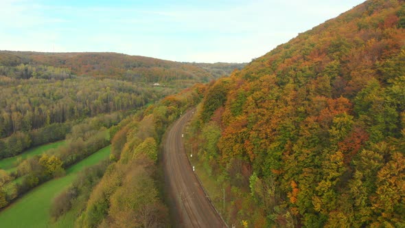 flying over a forest on a golden day in october with autumn colors