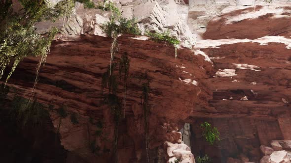 Inside a Limestone Cave with Plants and Sun Shine