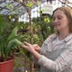 Young Woman Wipes the Large Leaves of the Plant with Damp Cloth - VideoHive Item for Sale