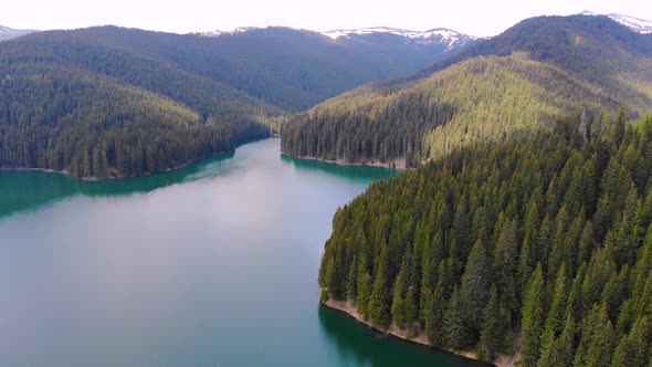 Aerial view of car driving through the forest and the lake on the side. Beautiful mountain road.