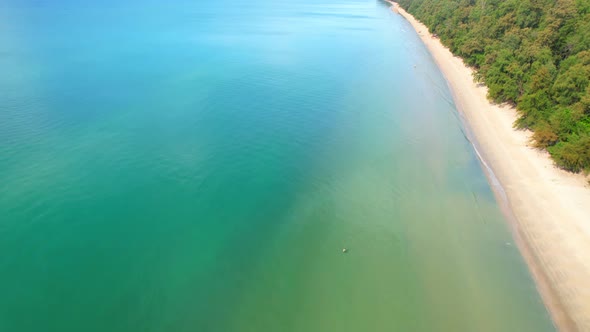 4K aerial view from a drone. Beautiful scenery of the coast with many pine trees.