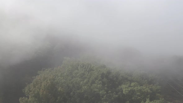 Foggy Road Drone Shot